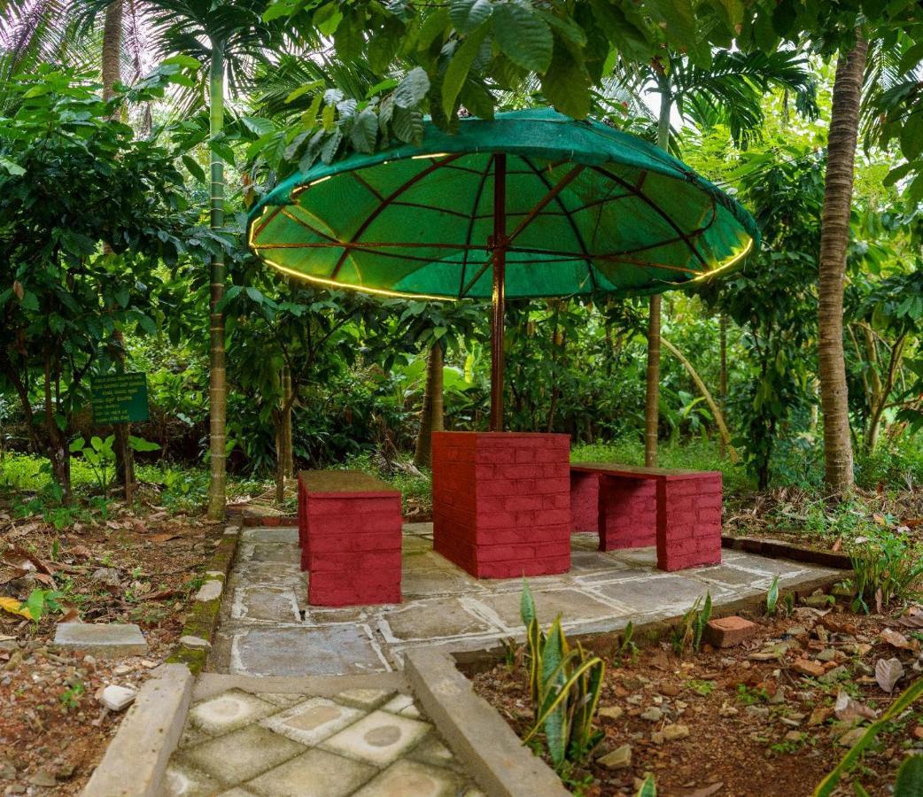 Jasmine Land Homestay Udupi Extérieur photo