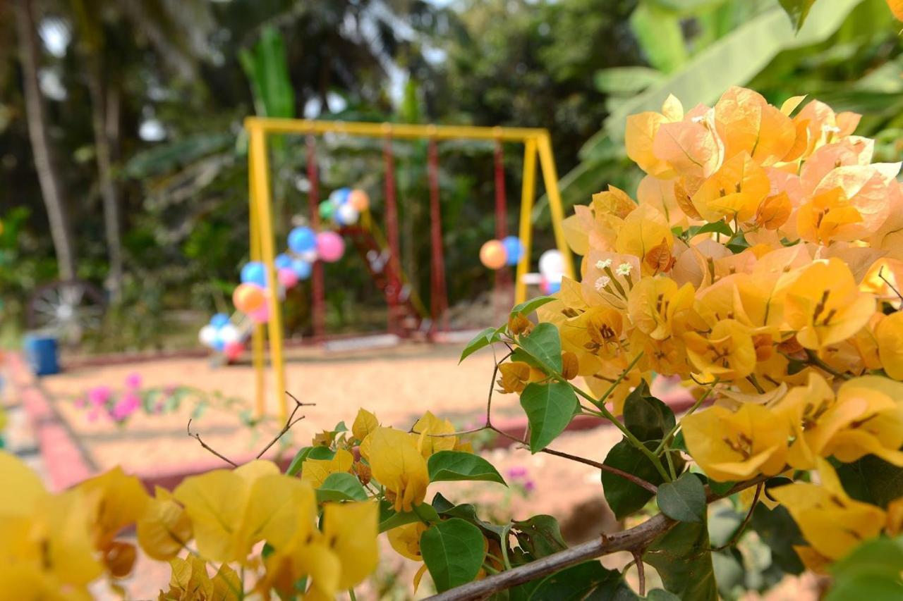 Jasmine Land Homestay Udupi Extérieur photo